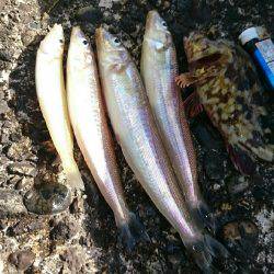 小学一年の息子が……