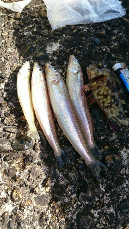 小学一年の息子が……