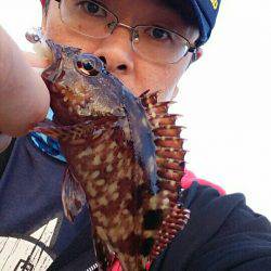 サイトフィッシングハマるわ~♪