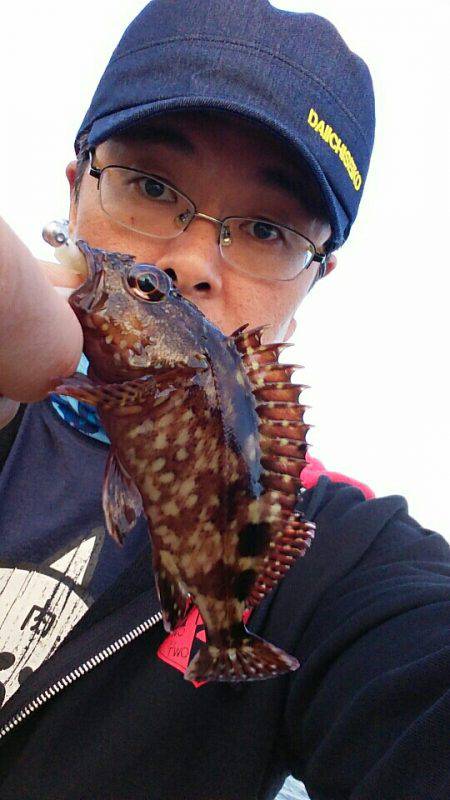 サイトフィッシングハマるわ~♪