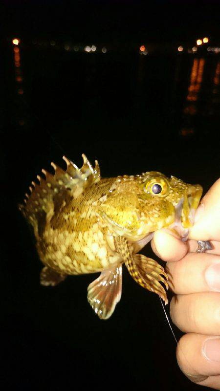 雨上がりライトゲーム