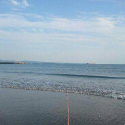 サビキそこそこ