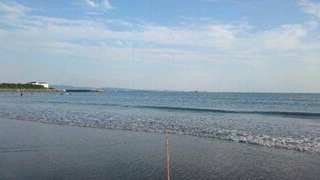 サビキそこそこ