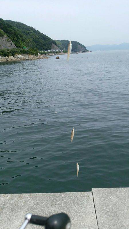 キス釣り行ってきました