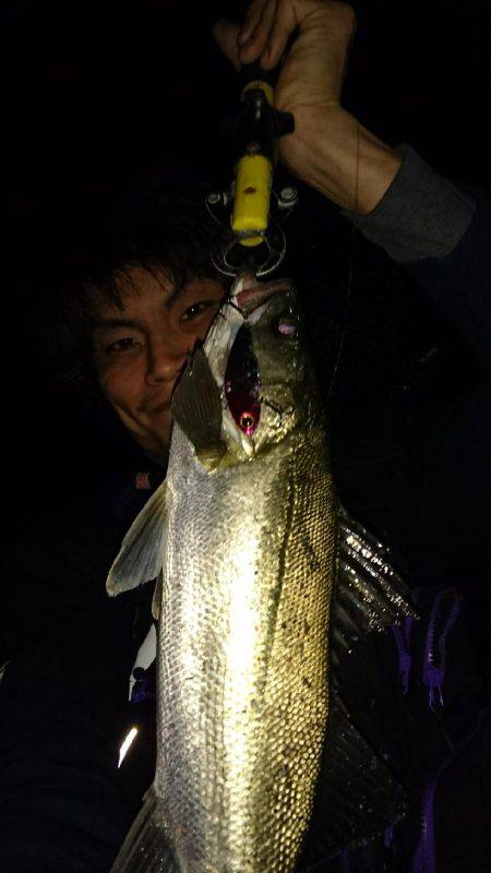 本命……悪戦苦闘……のはずが