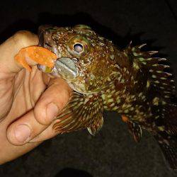 試したかった事……