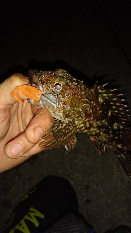 試したかった事……