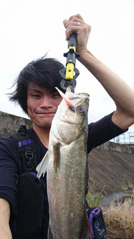 狙い通り(σ≧▽≦)σ