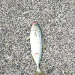 続 弱い者いじめ