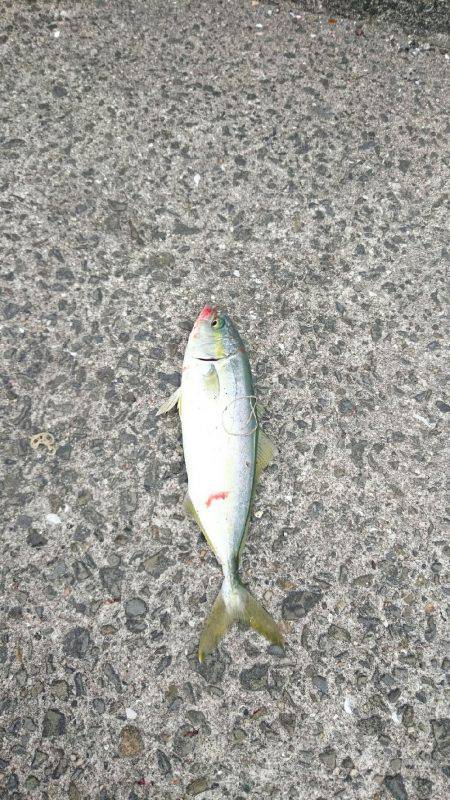 続 弱い者いじめ