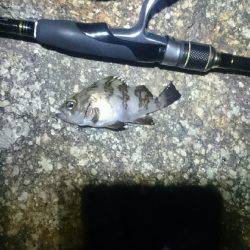 そんなに甘くない