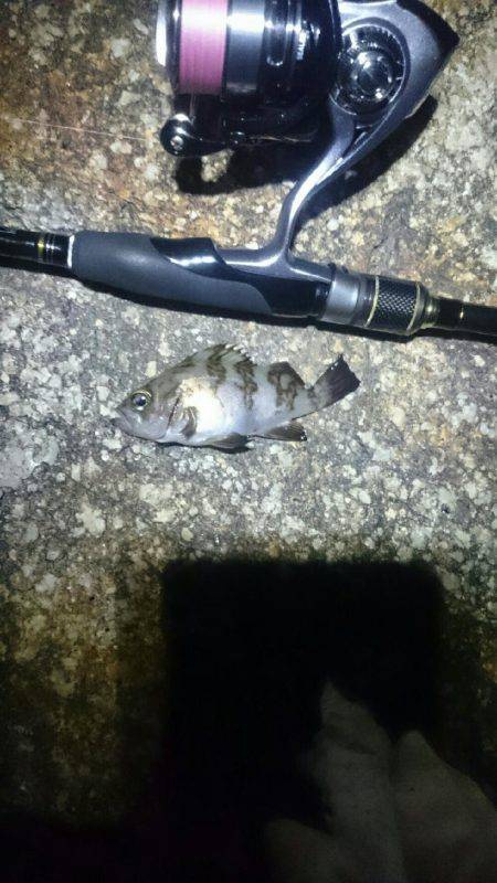 そんなに甘くない