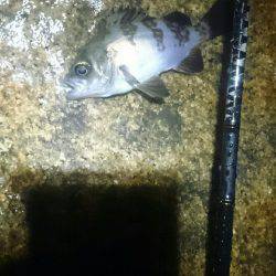 雨にも負けず。