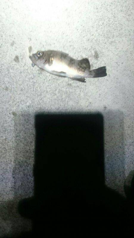 そろそろかな。