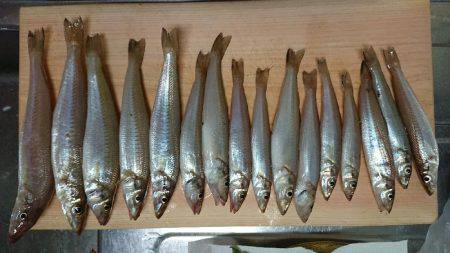 アジングロッドでボートキス