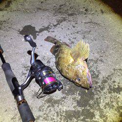 市内でガシリング！