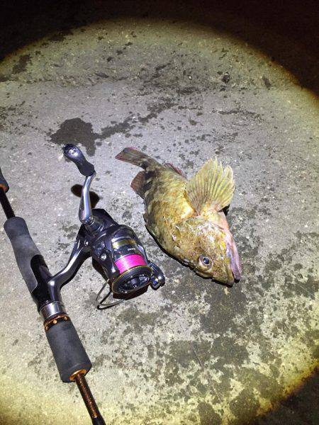 市内でガシリング！