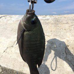 和歌山マリーナシティ大波止 内外