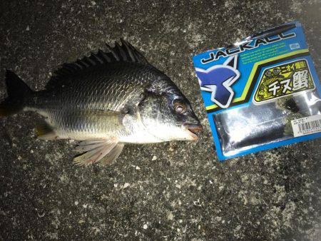 絶好調のリバーゲーム