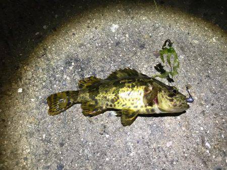 昨日の豪雨で寒い中