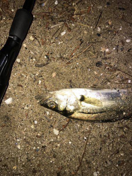 だんだん小さくなっていく