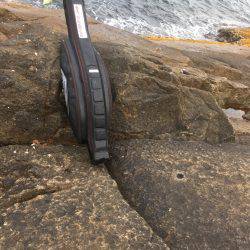 43.5センチのグレが釣れた