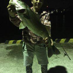 ナイトシーバス