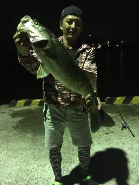 ナイトシーバス