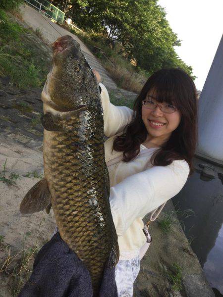 ダイソー釣具でカープフィッシング★