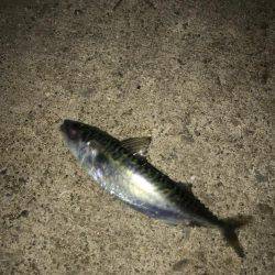 もう、勘弁して下さい！