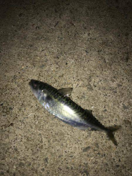 もう、勘弁して下さい！