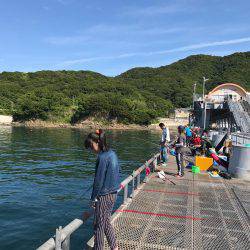 子供とサビキ釣行