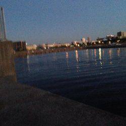 ガシリング釣行！！