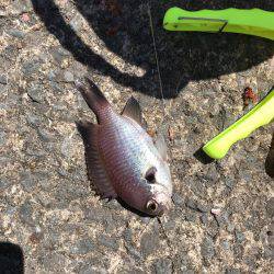 終わりよければ全てよし？