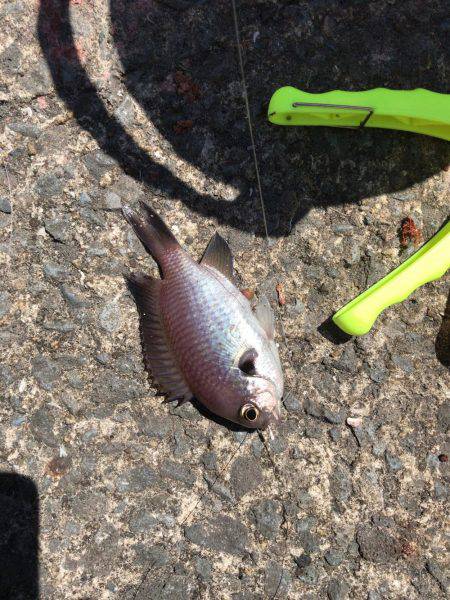 終わりよければ全てよし？