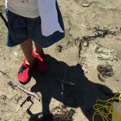 キスの季節がやってきました！！