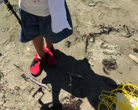 キスの季節がやってきました！！