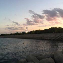 久しぶりに、エギング