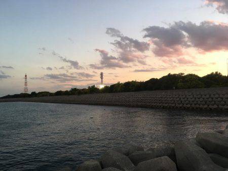 久しぶりに、エギング