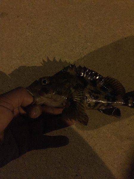 今日も仕事帰りに…