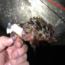 強風の為穴釣り