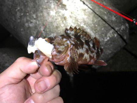 強風の為穴釣り