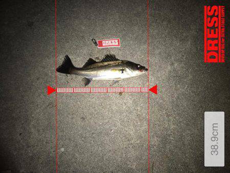 昨日と似たような投稿…