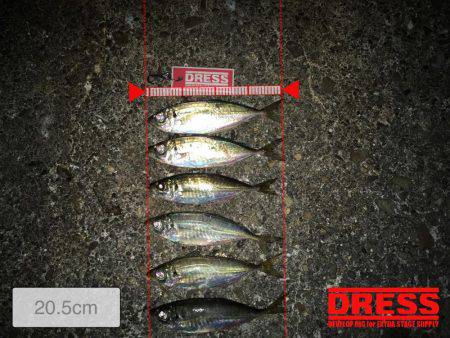 長時間釣りたい