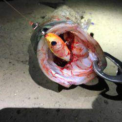 名古屋港ナイトゲーム