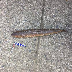 バッキャロー1人釣行記vol.1