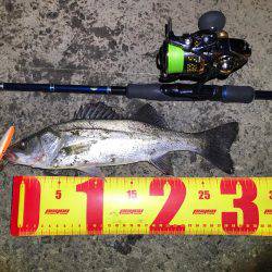 名古屋港ナイトゲーム