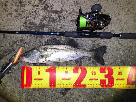 名古屋港ナイトゲーム