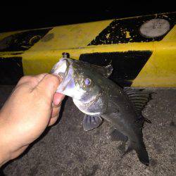 マイクロプラグ