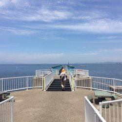 ハマチを求めて、、、のはずが。